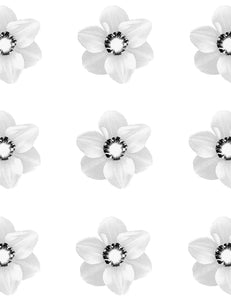 Blossom Dearie wallpaper by Paul Solberg ARTISTS,OBJECTS vendor-unknown black&white  