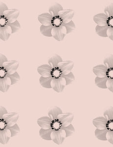 Blossom Dearie wallpaper by Paul Solberg