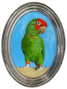 Cherry-Headed Conure Parrot Tray by Bill Samios Artware Editions