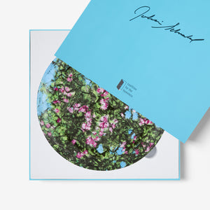 Julian Schnabel Plate - Limited Edition CFTH25
