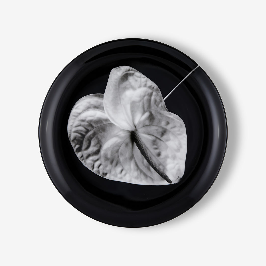 Robert Mapplethorpe Plate - Limited Edition CFTH25