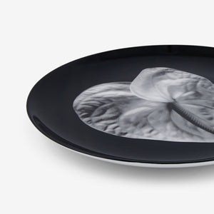 Robert Mapplethorpe Plate - Limited Edition CFTH25