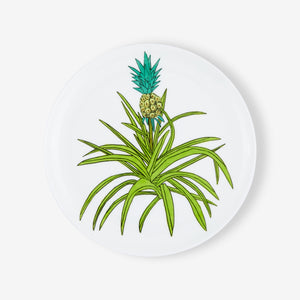 Jonas Wood Plate - Limited Edition CFTH25