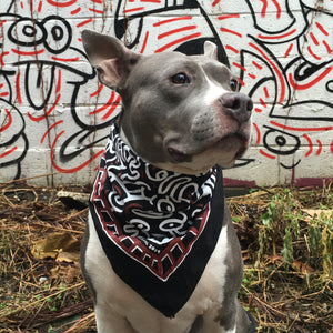 Fluidtoons Cartoon Bandana Artware Editions