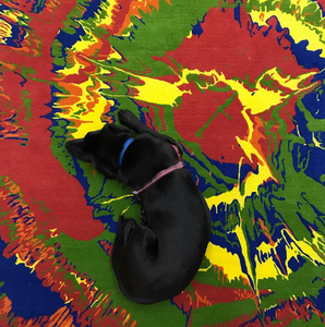 Tumultuous Heart Rug by Walter Robinson