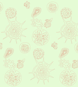 Telescopic Wallpaper by Michele Oka Doner ARTISTS,OBJECTS vendor-unknown Coral Sea  