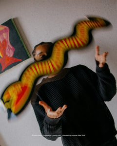 Untitled (Snake) by Keith Haring Skateboard Deck