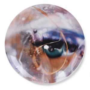 Plate by Marilyn Minter  CFTH   