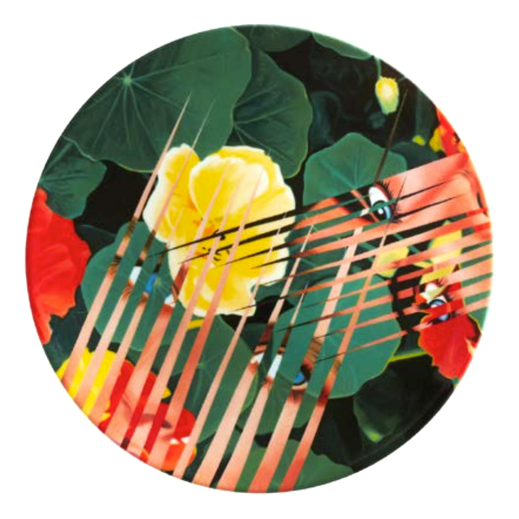 Nasturtium Salad Plate by James Rosenquist  Ligne Blanche   