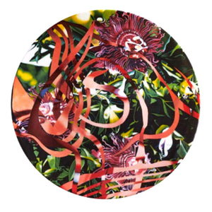 Passion Flowers Plate by James Rosenquist  Ligne Blanche   