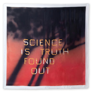 (Red)ition Scarf by Ed Ruscha  Studio Voltaire   