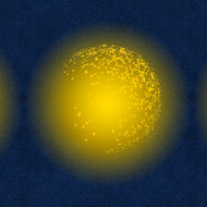 The Singing Spheres Wall Covering by Shahzia Sikander ARTISTS,OBJECTS vendor-unknown   