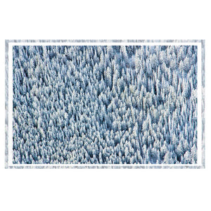 Snowy Pines Tray by Gray Malin  Artware Editions   