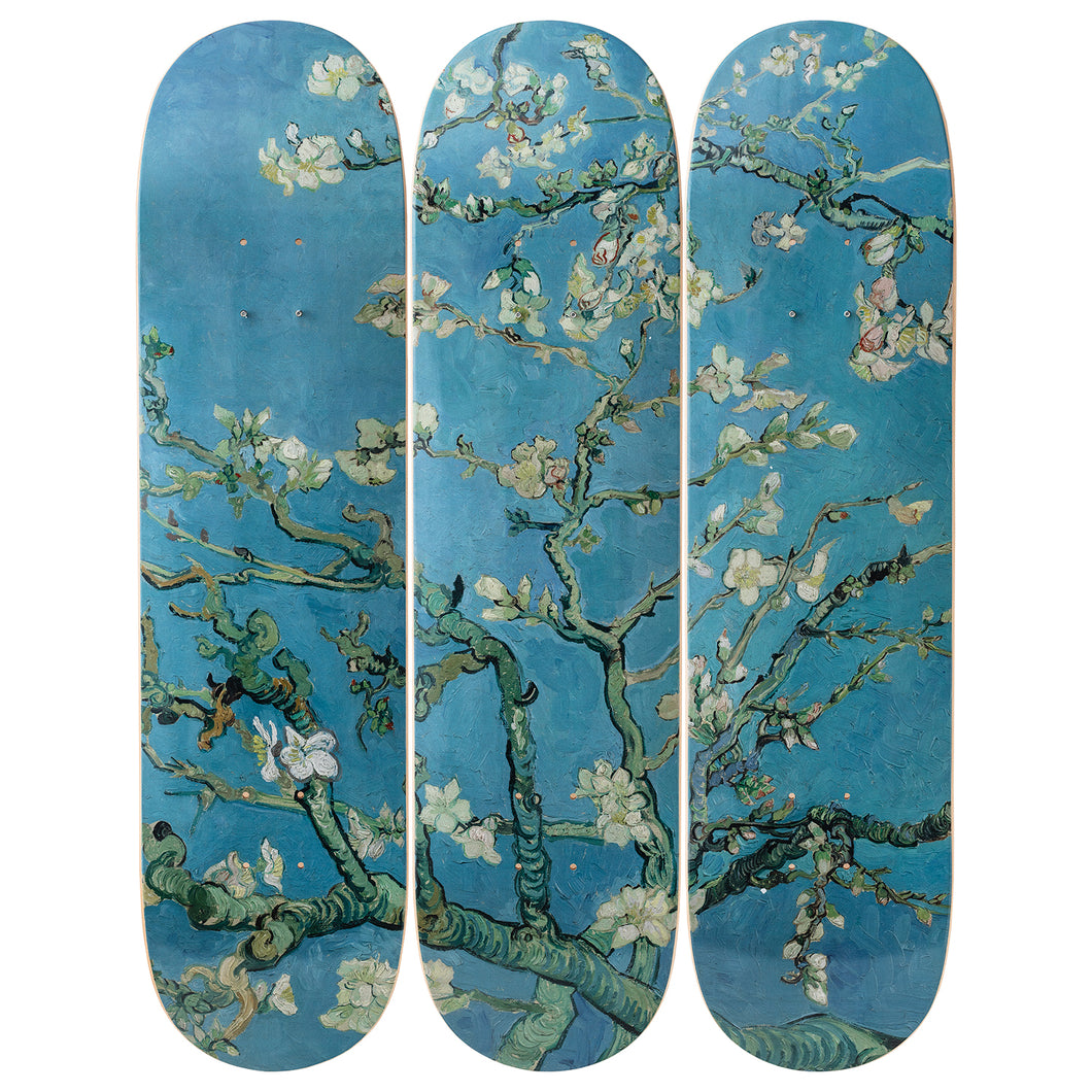 Almond Blossoms Skateboard Decks after Vincent Van Gogh  Skateroom   
